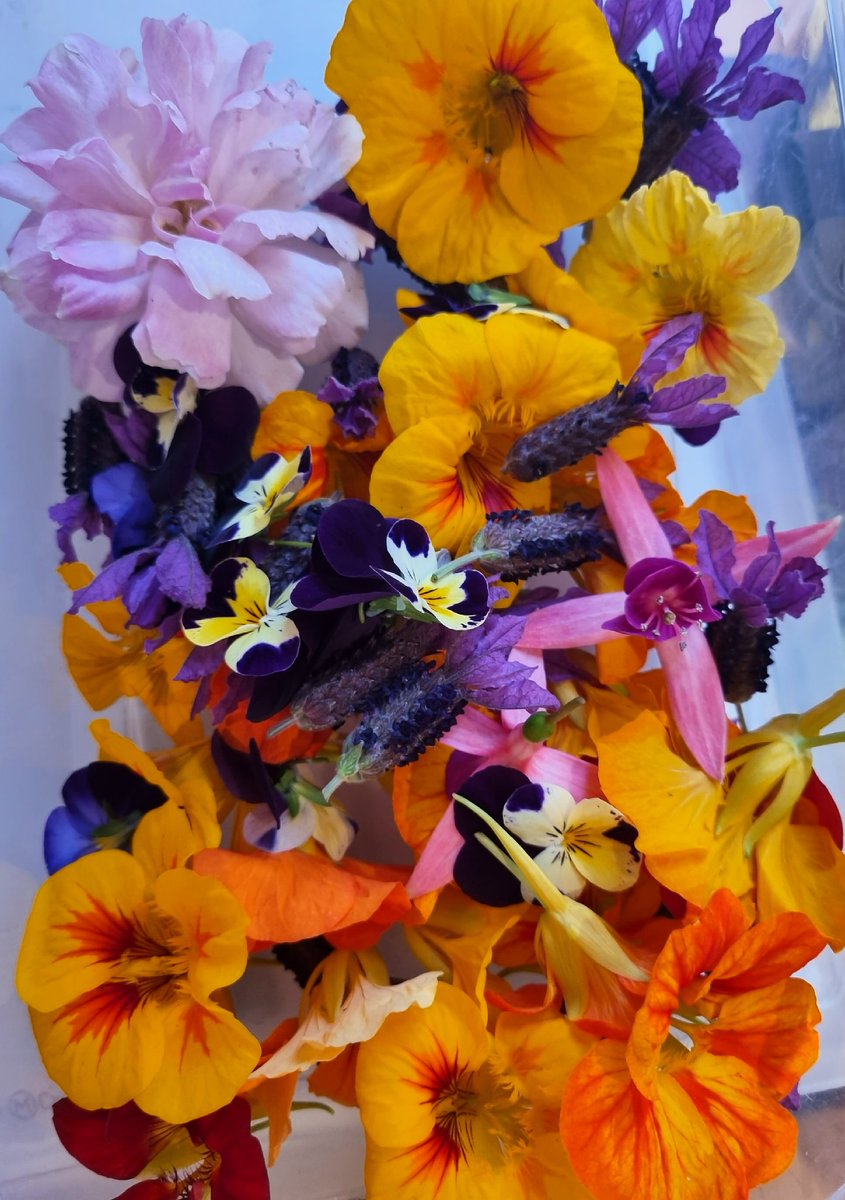 Mr Burch tweet media