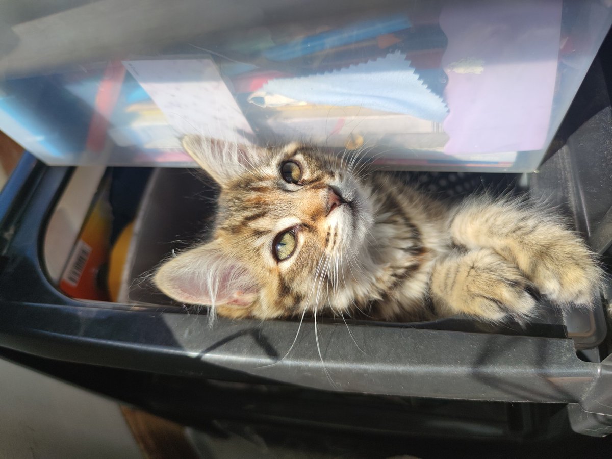 uhh guyse.. dade say this mine baby sinster? n im hav to be loving her for the ever??? u are please to be meeting the Honey gurl 🍯