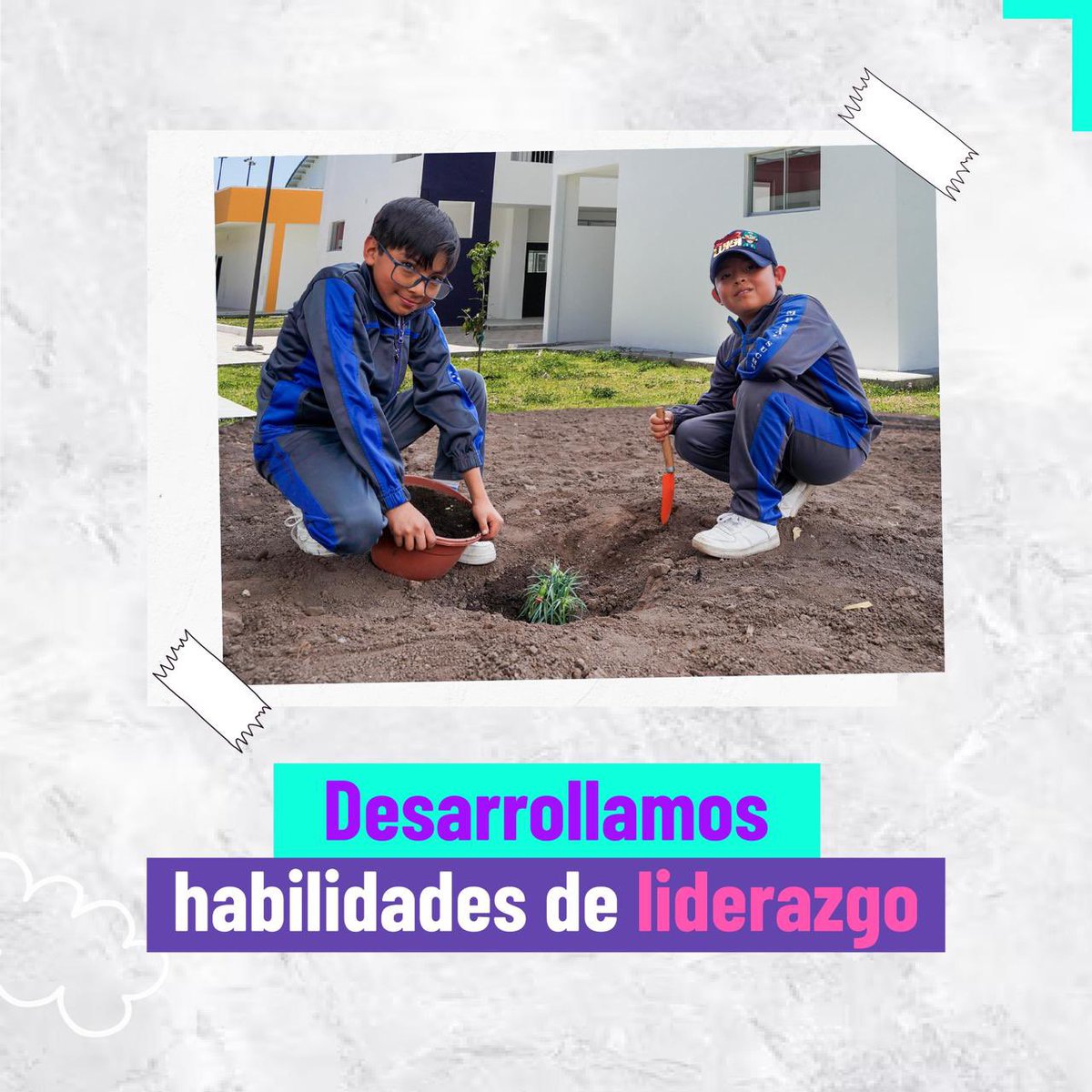 Educacion_Ec's tweet photo. 🙋🏻‍♀️🙋🏻‍♂️ Contamos con el Programa de Participación Estudiantil, con el fin de fomentar el compromiso y la acción eficaz de los estudiantes de 1.º y 2.º de Bachillerato, frente a problemáticas de interés nacional.

✅ El programa representa el 10% en la obtención del título de Bachiller, con una duración total de 160 horas.

🔎 Conoce las temáticas que pueden escoger los jóvenes. 👇 

#ElNuevoEcuadorResuelve