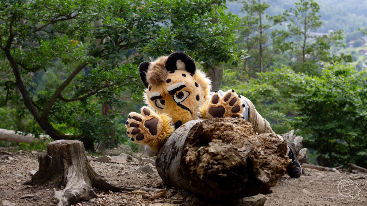 Why is tree climbing so exhausting... ? 😿

📷 <a href="/DuskTheWoof/">DuskTheWoof</a>