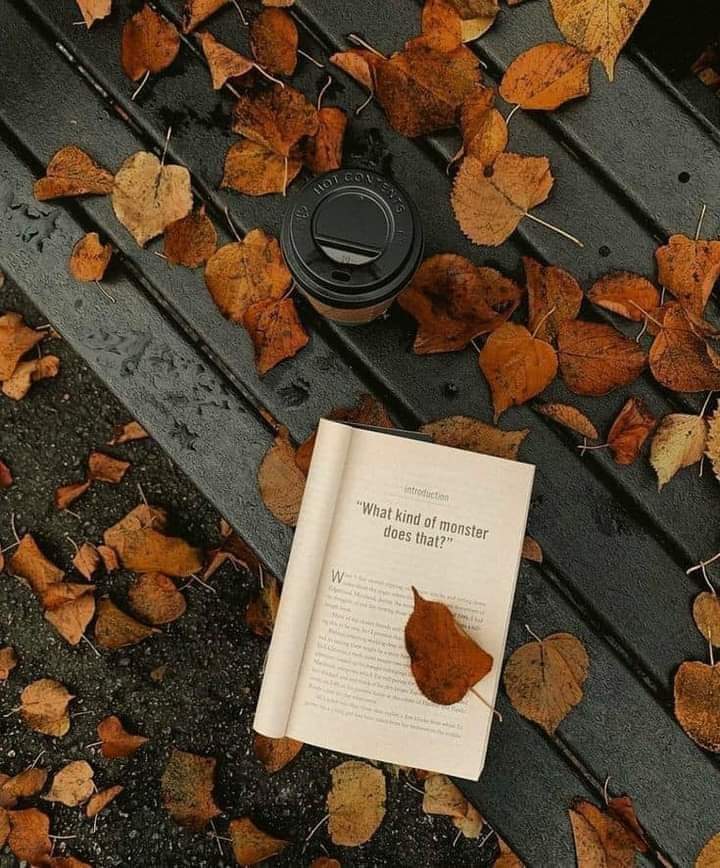 FjZBfuIgnmCrDgG's tweet photo. إن لم تستطع قرائتى جيداً ..

                          فلا تحاول تأليفي.... https://t.co/UM5bPi141O