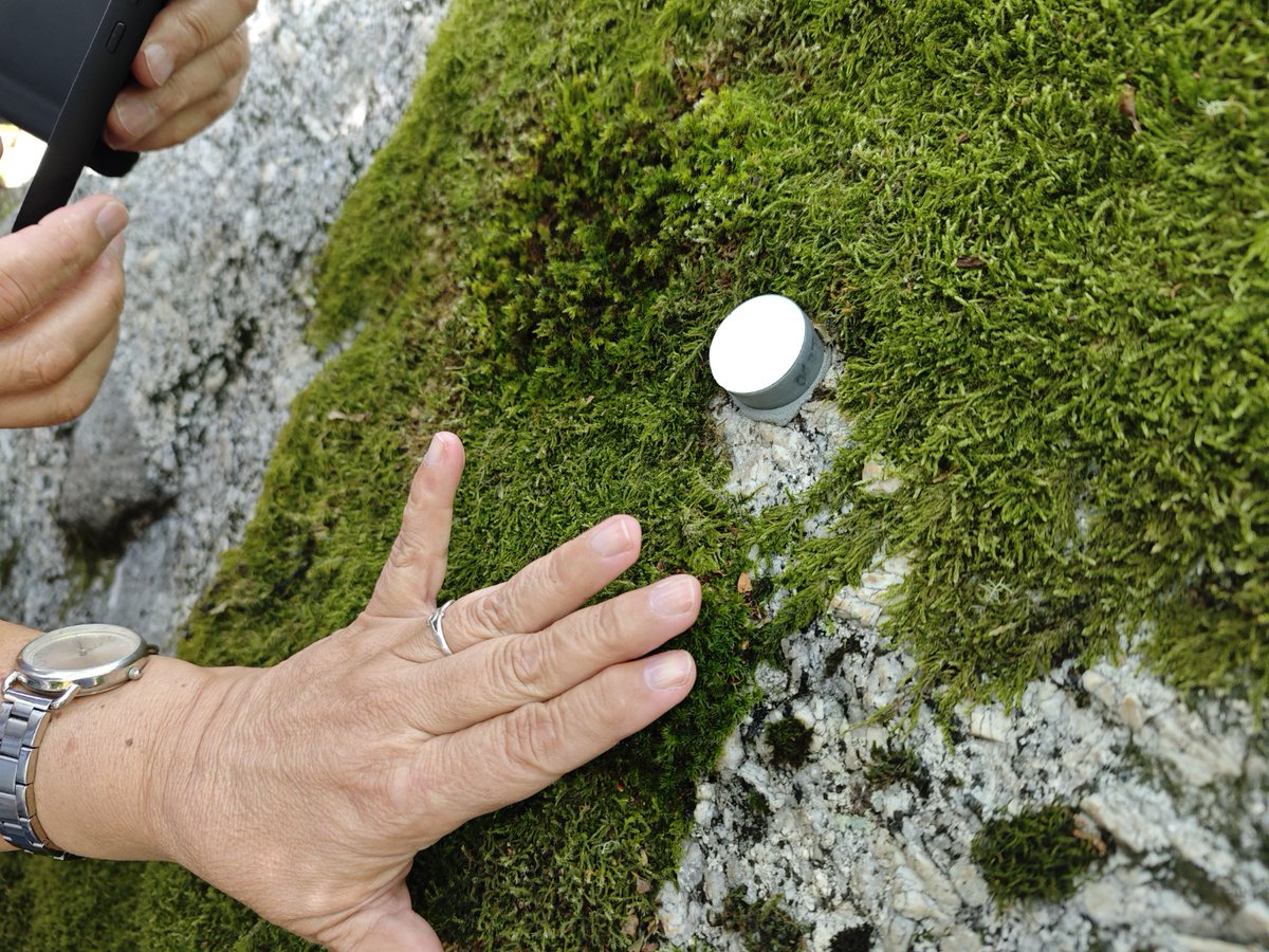 Hands on #mosses: that's how we celebrated #EcologyDay
#EcologyDay2024