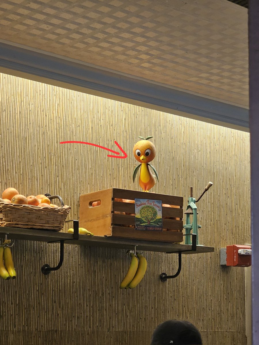 𝔇𝔬𝔳𝔫𝔢 tweet media