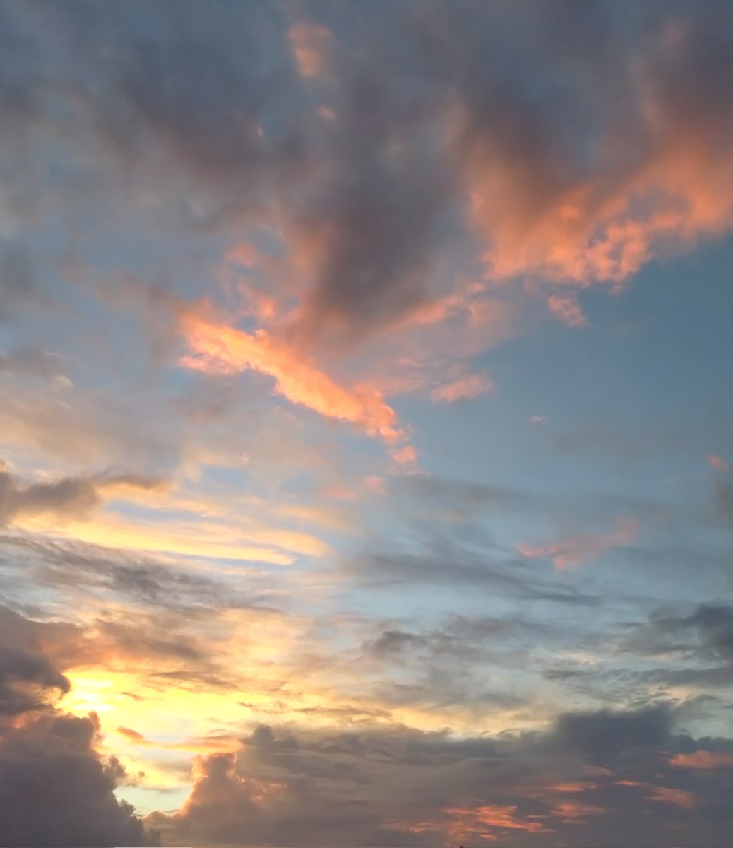 8honey_8honey_8's tweet image. おはようございます🌞
今朝は湿度は高めですが少し涼しくてきれいな朝焼けも見られました🥳