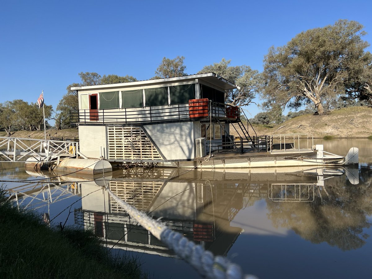 Nic Hall tweet media