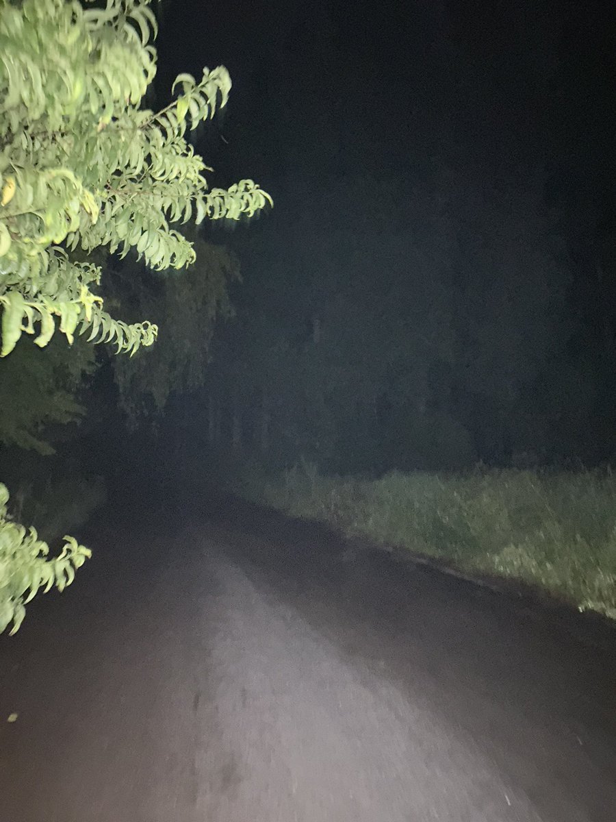 antonsoflove's tweet photo. i wish i was lying when i said i was in the woods 😭 https://t.co/nlYrTanIHz