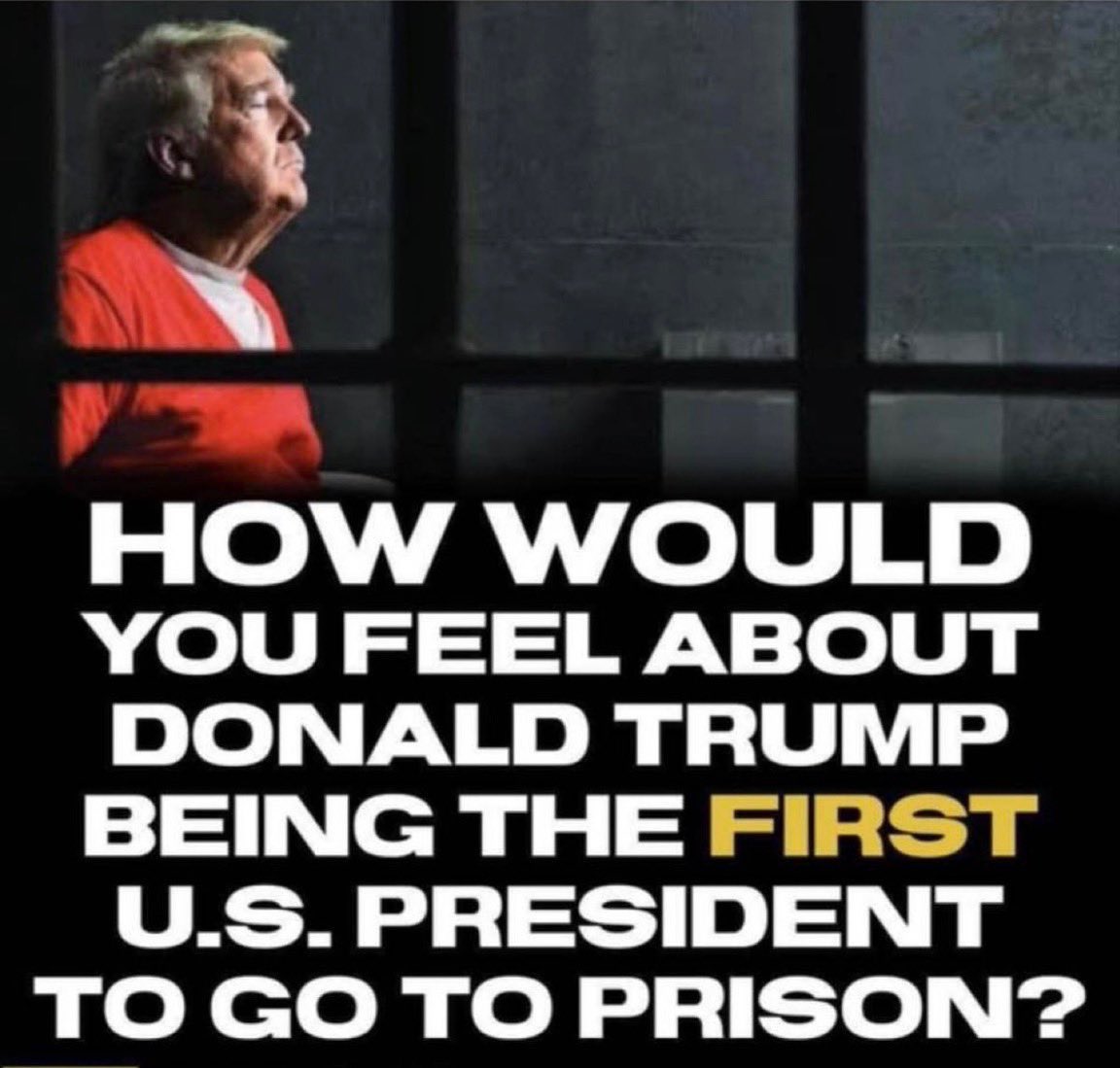 Trump AND Vance belong behind bars! 🖐️