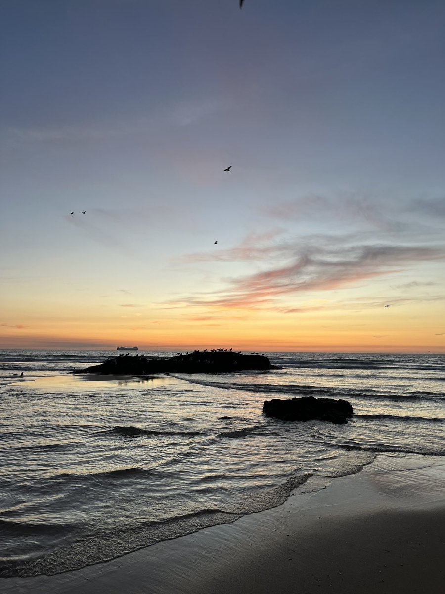 _portachaves_'s tweet photo. Vivo para isto 🌅🌊🧡 https://t.co/zXpavI8H9O