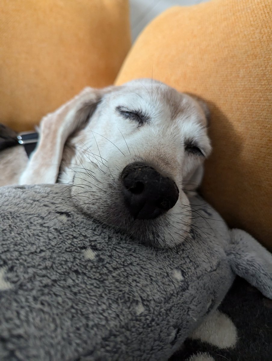 Baxter of BFP tweet media