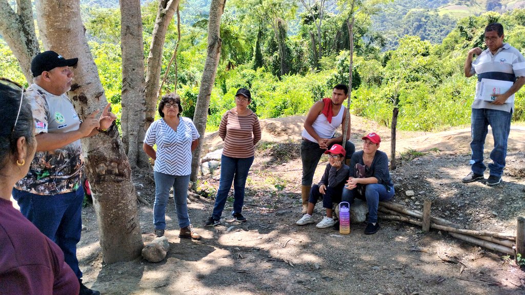 azucarmomoy's tweet photo. AVV MAMÁ ROSA EL GIANNI 🏡🏙️🏗️👊🏾✅ 

Tomando decisiones para seguir soñando y luchando por una vivienda digna. 
No esperamos que caiga del cielo. Nosotros mismos las vamos a construir. 

Más organización
Más unión 
Patriotas cerrando filas, que vienen buenos tiempos
💙🩷 https://t.co/taovkvCJwe