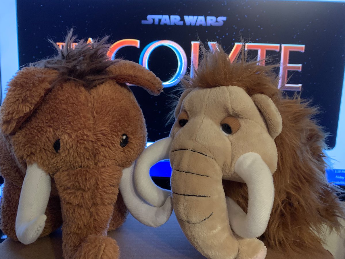 btrain254's tweet image. We’re not tweeting today. That’s right….nothing to tweet.

#Tweet #btrain #nothingtotweet