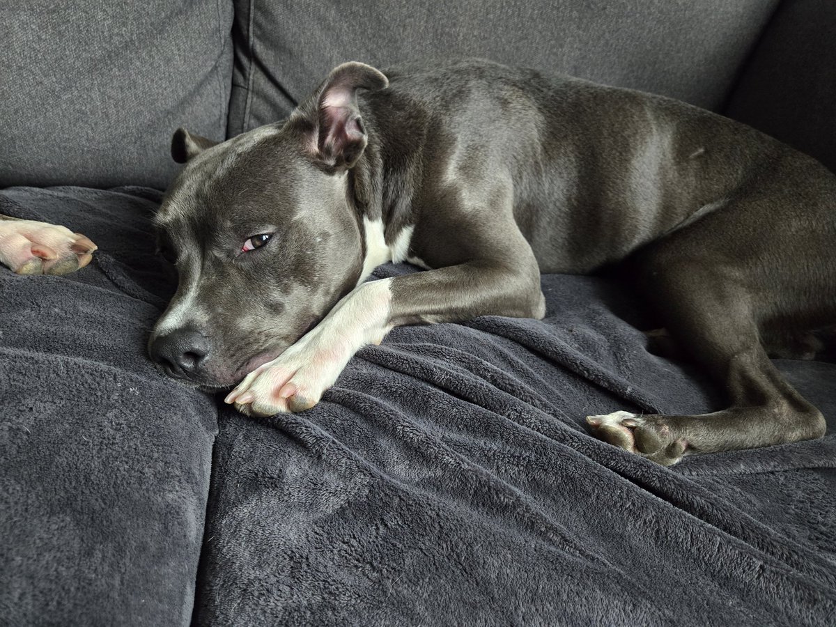 KACEY KASEM tweet media