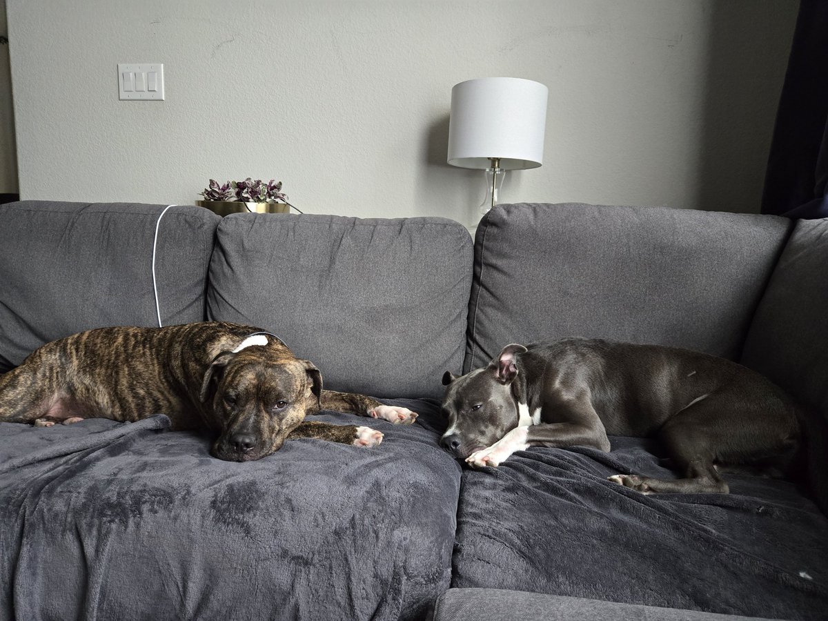 KACEY KASEM tweet media