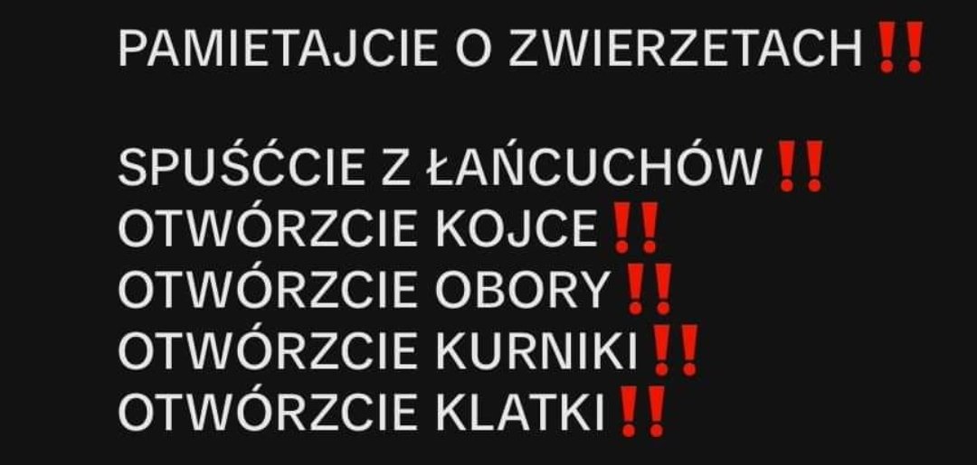 qixel00's tweet photo. To był dramat powodzi 97

#Powodź https://t.co/BYx5qNr6B1