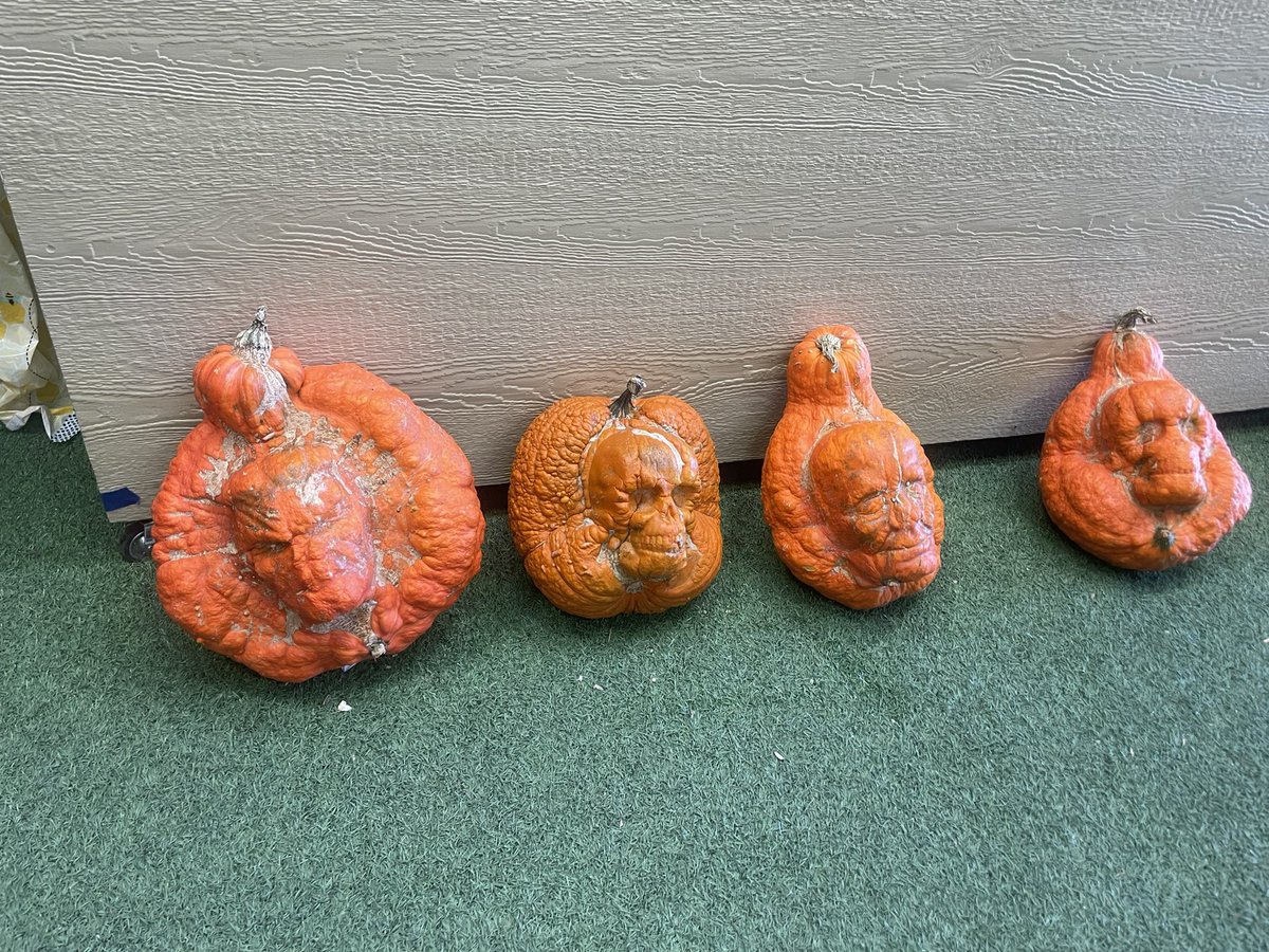 Pumpkins from the Utah State Fair today (with <a href="/rob_rankin4/">Rob Rankin</a>).