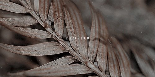 𝐄𝐓𝐄𝐑𝐍𝐀𝐋𝐒. tweet media