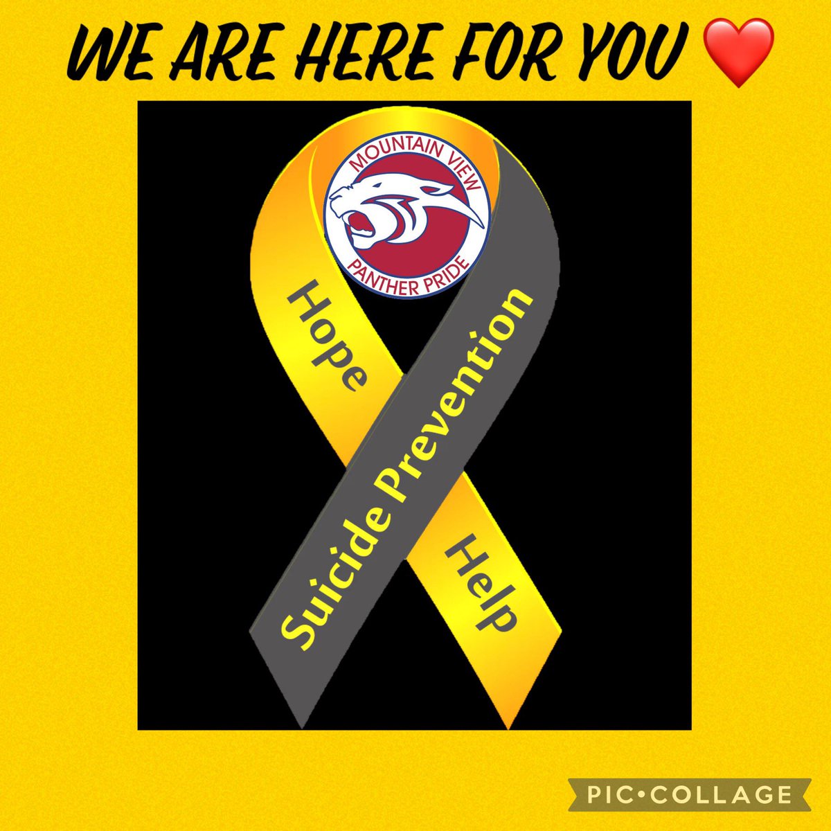 Mountain View School tweet media