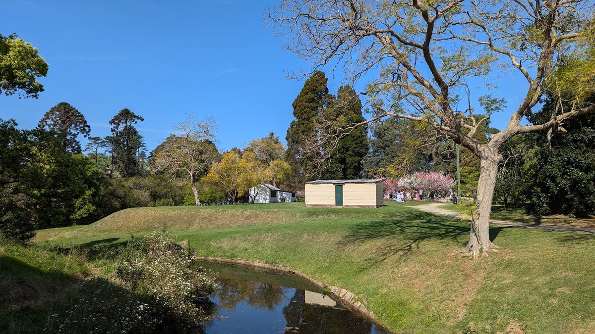 bombaatbanavar's tweet image. #Spring is here alright. #sydneyspring