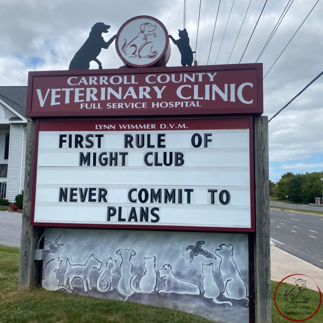 CarrollCoVet's tweet photo. #funnyvetsigns #funnysigns #ccvc https://t.co/fgzvGCypoA