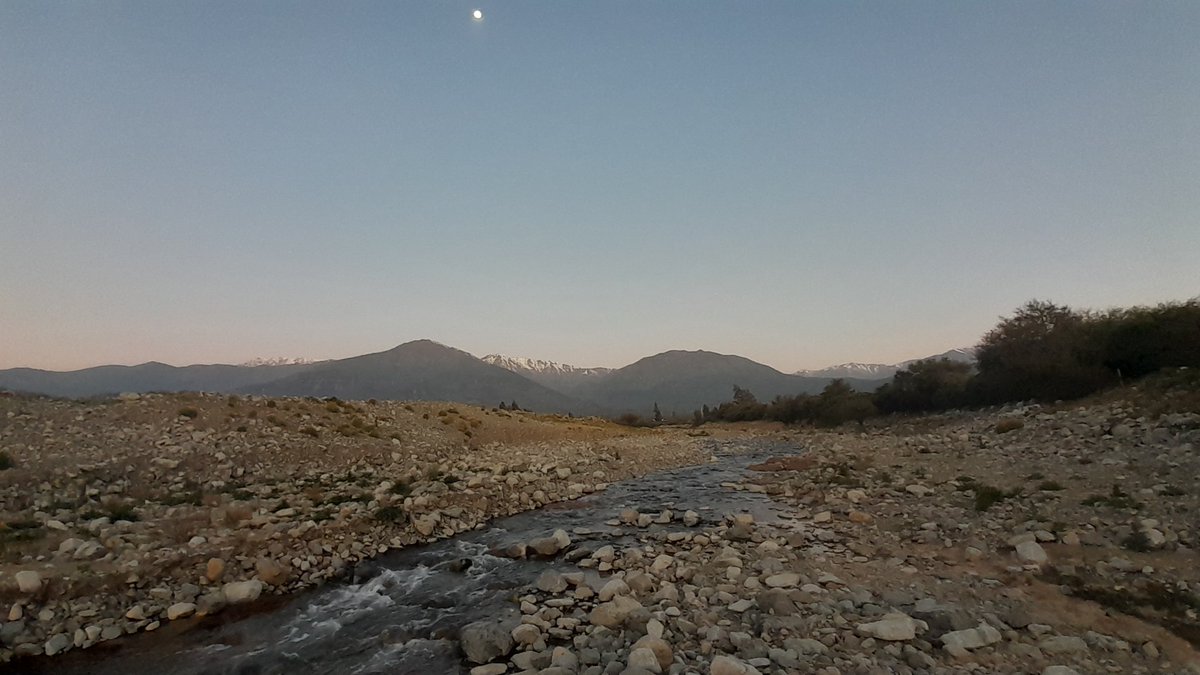 JorgeTobarRodr2's tweet photo. Su vueltita por el Estero del Inca 🏞️

#naturaleza
#paisajesdechile
#Chile
#agua
#esterodelinca
#ElEscorial
#septiembre2024
#invierno2024 https://t.co/lHA3g59I09