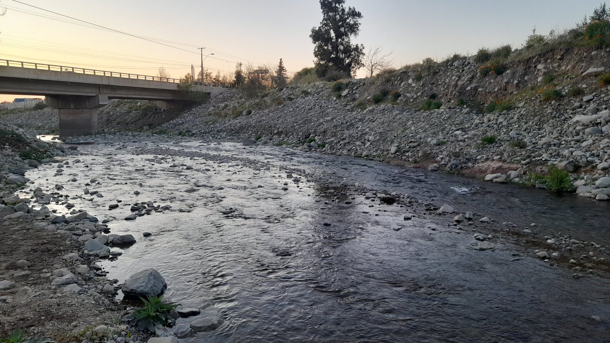 JorgeTobarRodr2's tweet photo. Su vueltita por el Estero del Inca 🏞️

#naturaleza
#paisajesdechile
#Chile
#agua
#esterodelinca
#ElEscorial
#septiembre2024
#invierno2024 https://t.co/lHA3g59I09