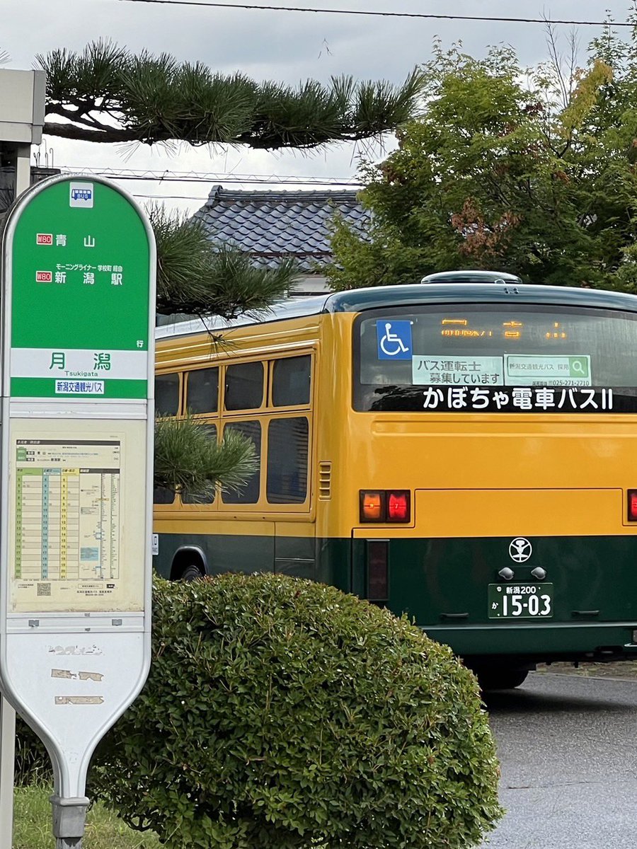 新潟市南区 on X: 