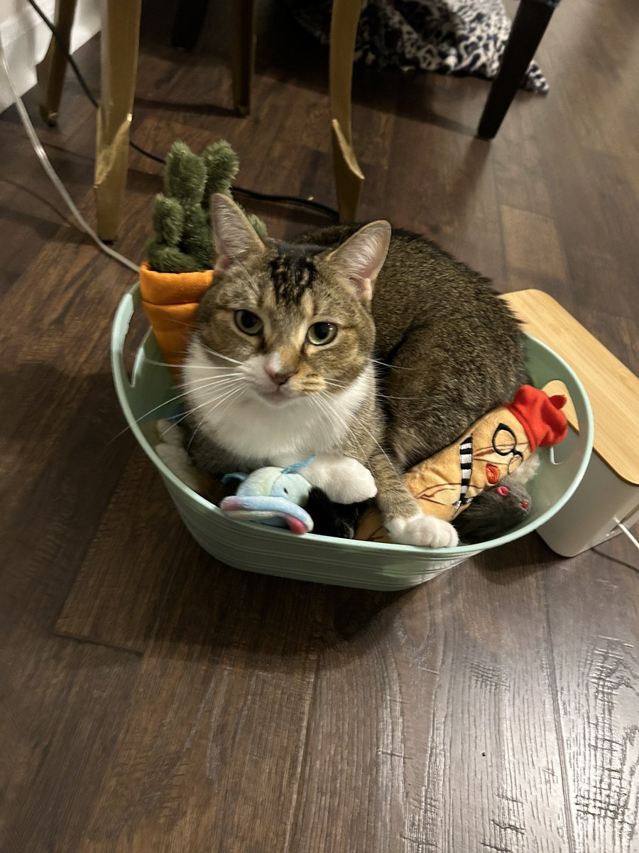 Emma Bolden tweet media