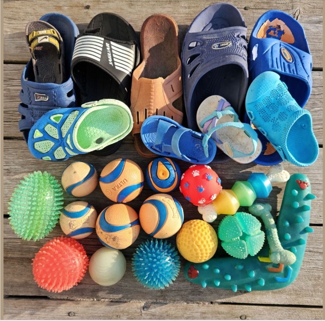 Sable_Institute's tweet photo. 1/2: Beached Footwear &amp; Dog Toys.
These are found in the beached debris surveys on #SableIsland. They are not typical “litter” items – not used &amp; cast aside – but are probably lost or accidentally left behind during beach visits &amp; activities….. #beachlitter #washedashore https://t.co/kD1z8R6jsV