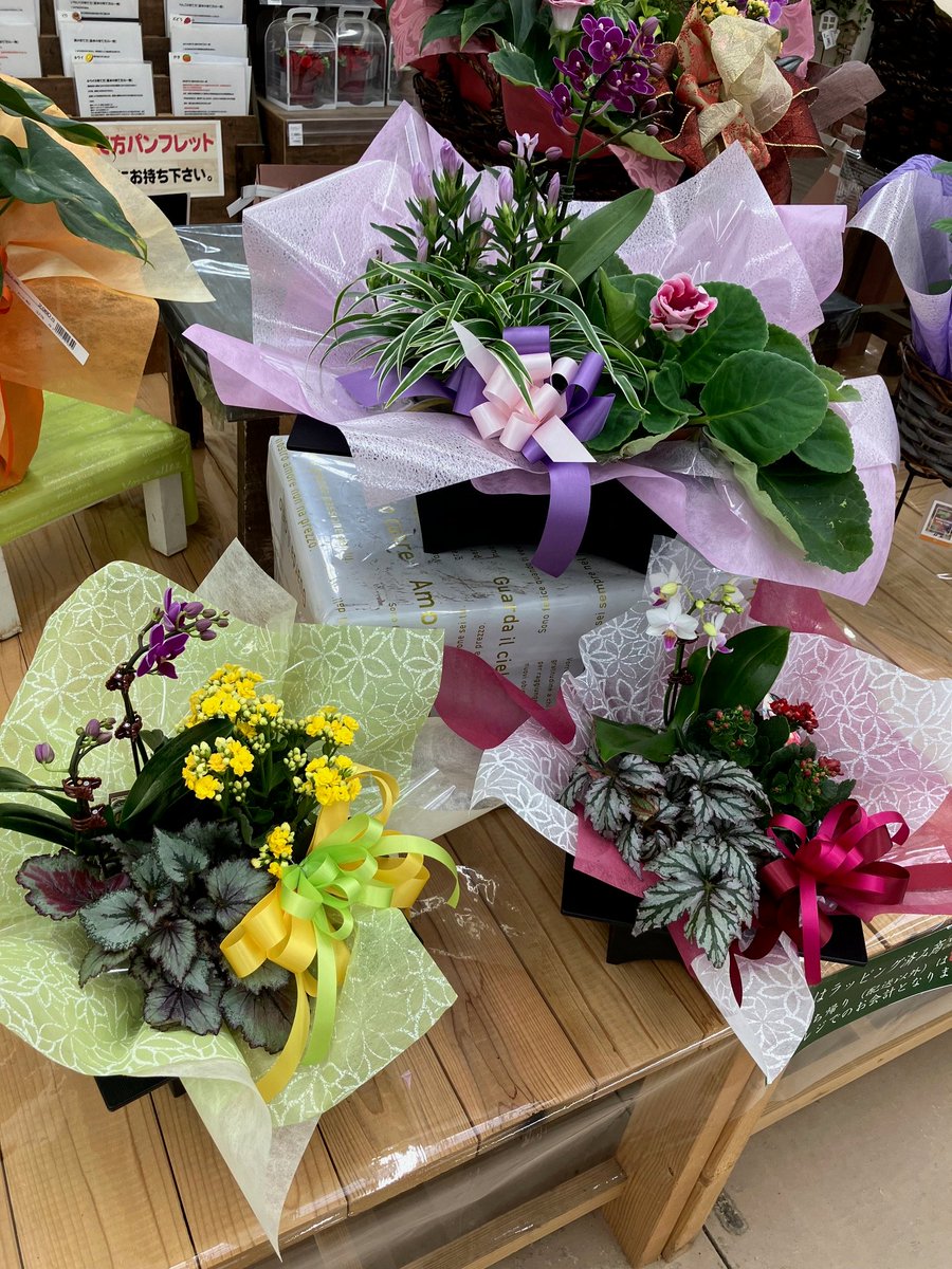 ガーデンセンター荒川沖店】 明日9/16(月)は #敬老の日 です。 日頃の