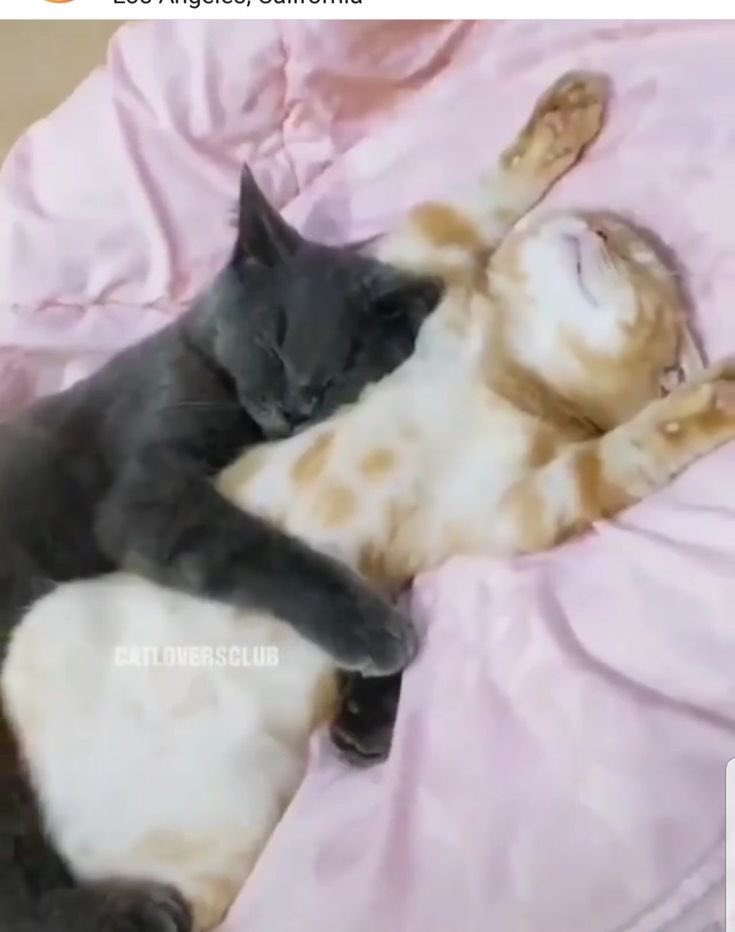 wonbinaw's tweet photo. good night baby girls #forgirls good night broski #forboys https://t.co/oMD5JijSjH