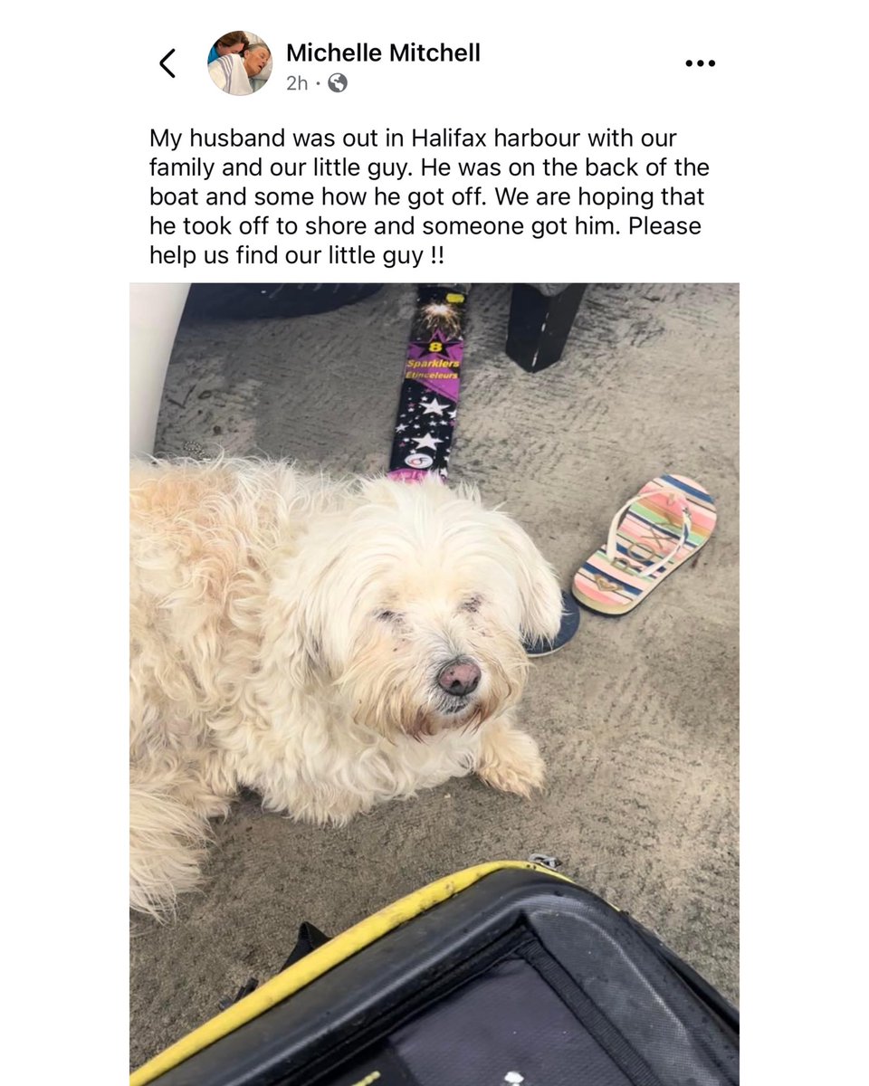 halifaxnoise tweet media