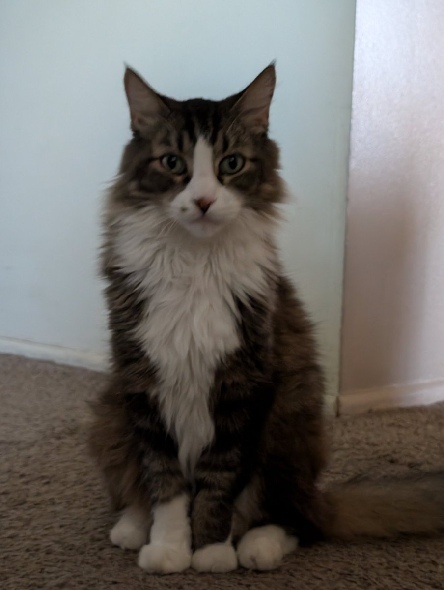 Needlessbob's tweet image. Non descript picture of Hunter cause why not we are doing things in places if you know you know 🤣