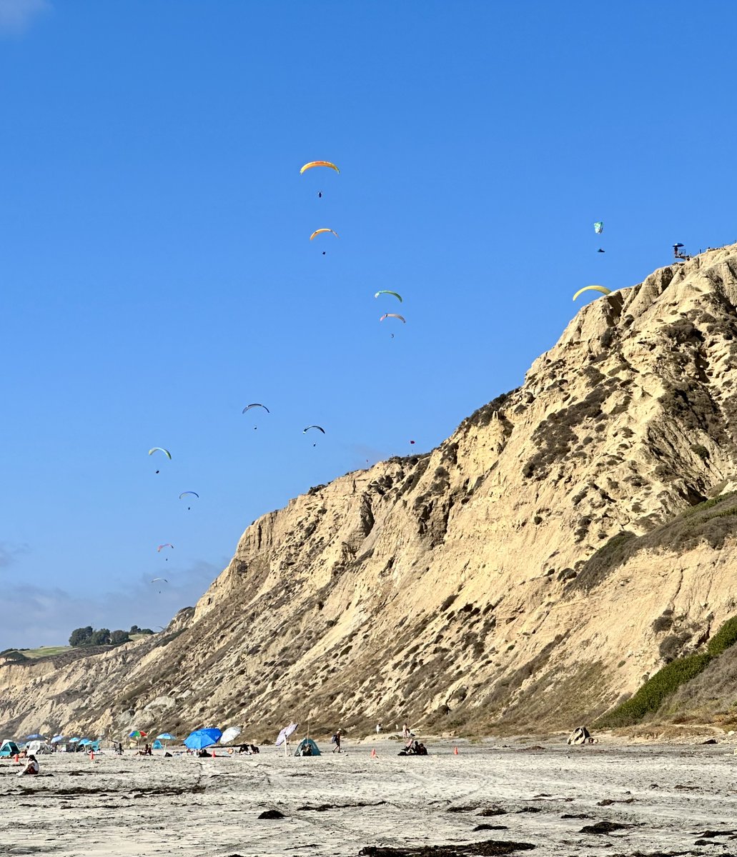 Marcy Karin tweet media