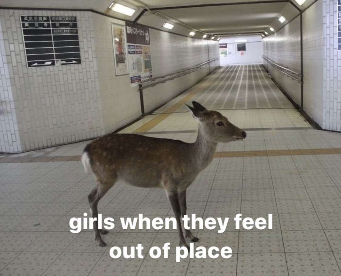 deershouldnt's tweet photo. https://t.co/tOfZEG0vf9