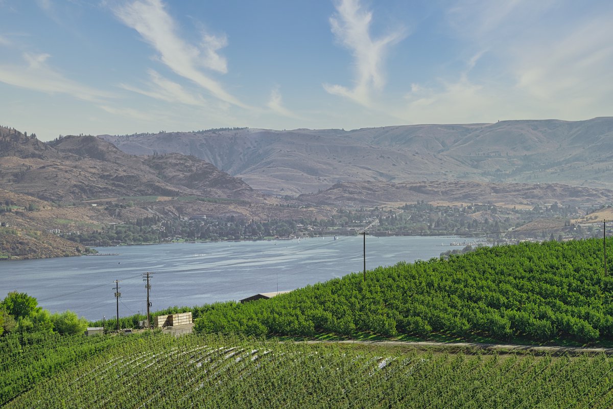 we dream in green 💚