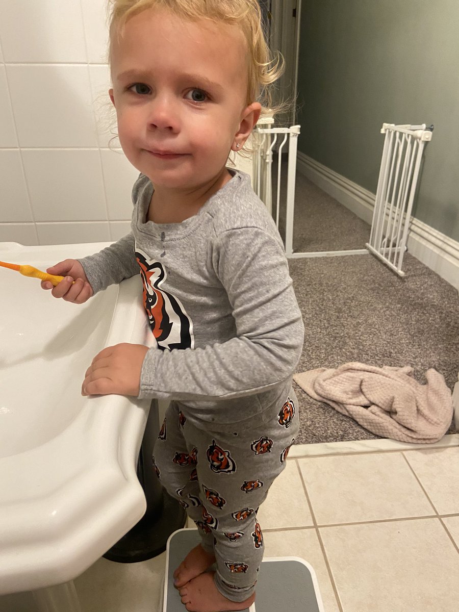 Ninsterrrr's tweet photo. ‘Twas the night before game day🧡🐅🖤 #WhoDey https://t.co/uuJo8jrX0D