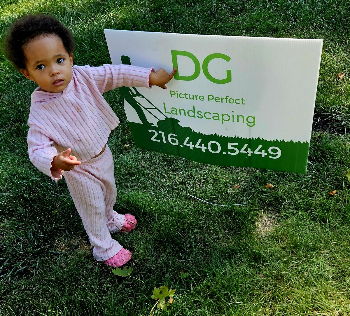 MosesCLE's tweet photo. Call my Da Da now to schedule your fall yard &amp; leaf cleanups.  He is #1 
 * notice the right hand* # 1 sign!
Danny at DG Picture Perfect Landscaping-
Free Estimates @ 216.440.5449
#lawncare #landscapeplantings #cleanups #mulching #fallleafcleanup https://t.co/P8KIkq9tG6