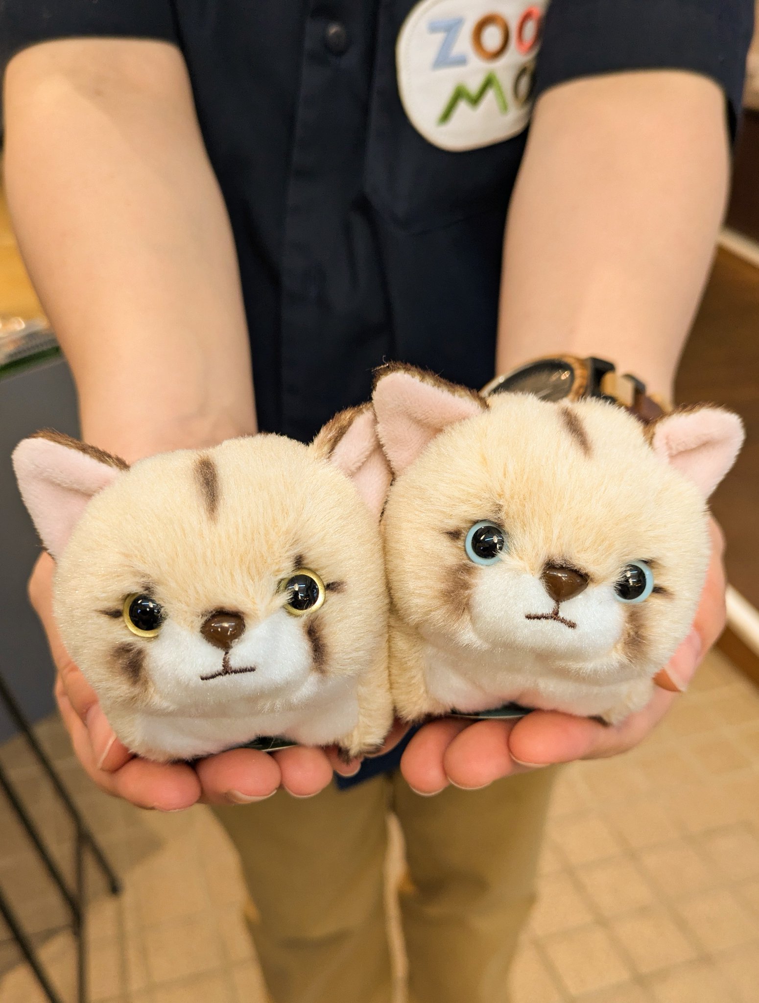 盛岡市動物公園 ZOOMO on X: 
