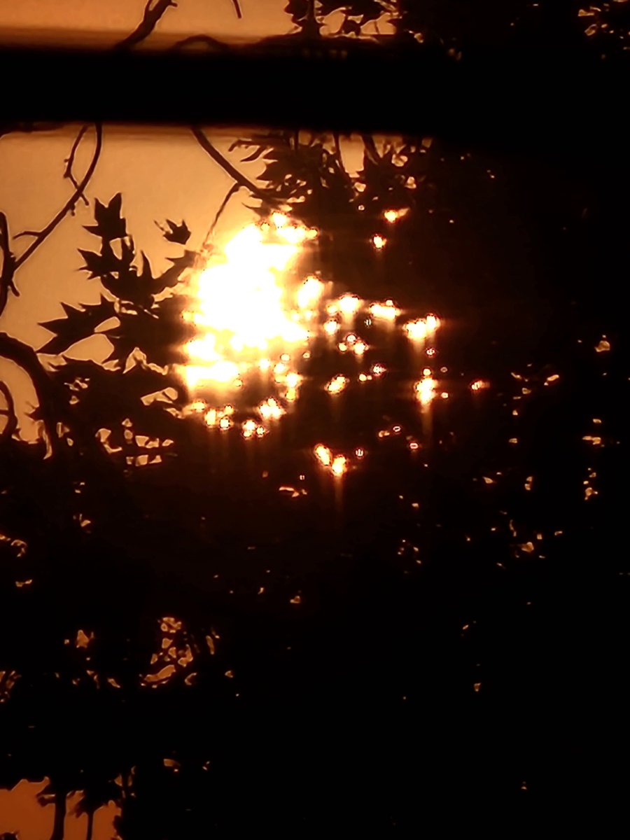 DVBSOHVRD's tweet photo. #bridgefire
#sunrise https://t.co/vrwRwXljvU