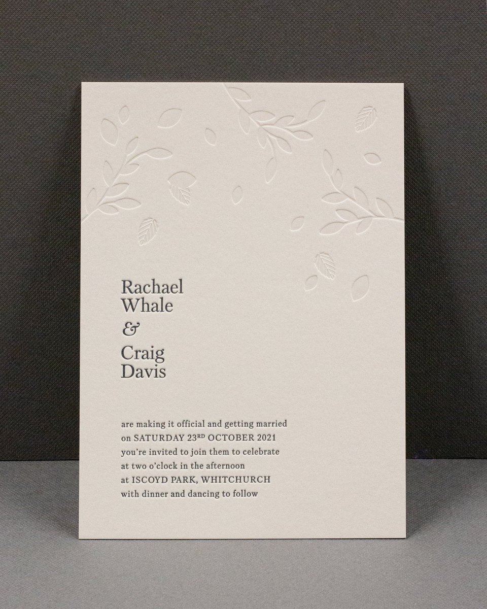 blush°° tweet media