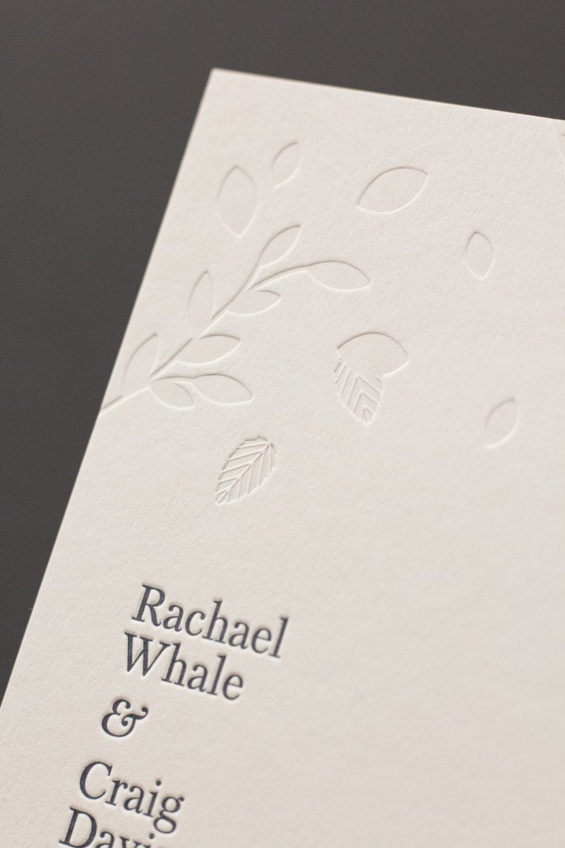 blush°° tweet media