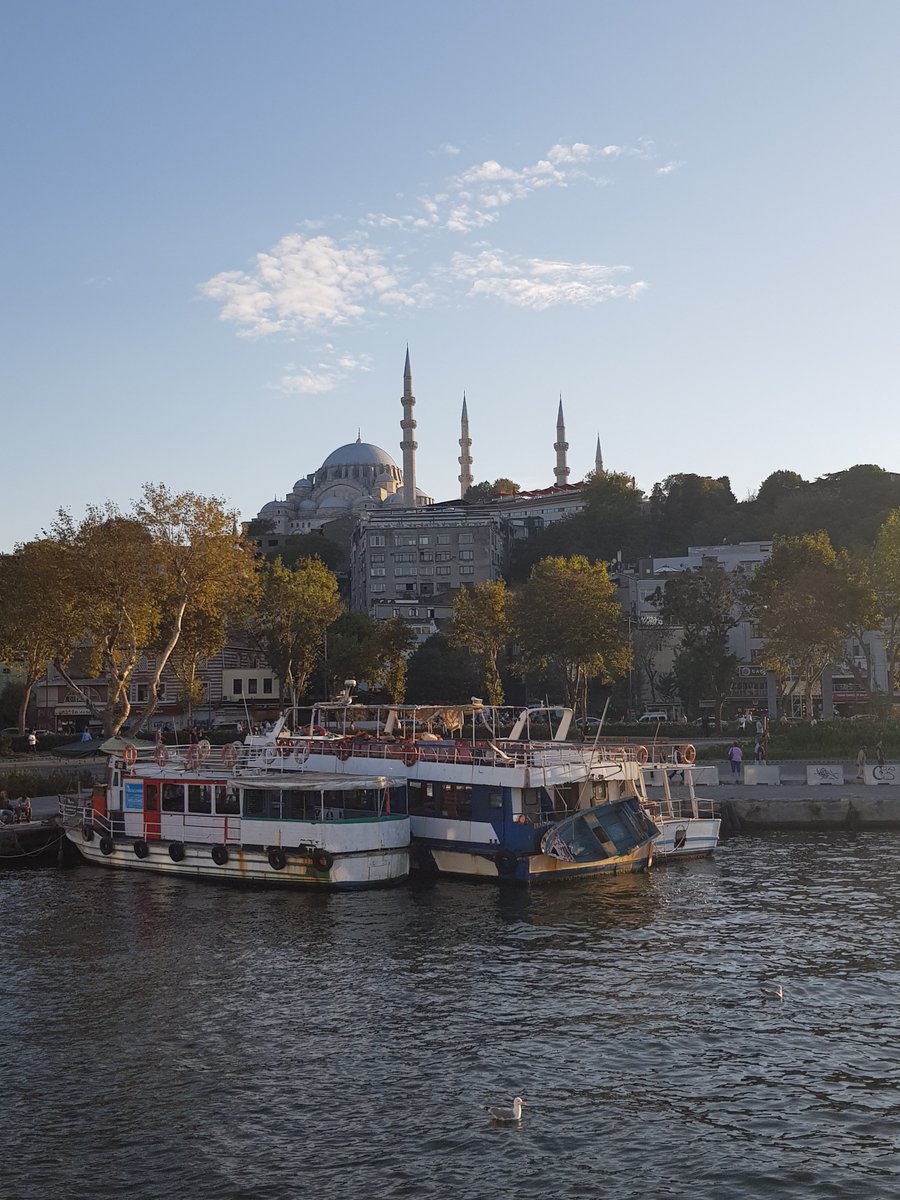 Lucretia__'s tweet photo. Istanbul bella, lascio qui una parte del mio cuore e della mia mente. Affido a te la mia tristezza e i miei pensieri grigi, affinché io possa lasciare andare. Conserva tutto per quando tornerò, così ci rideró su, ciao🖤 https://t.co/63uArVDNnw