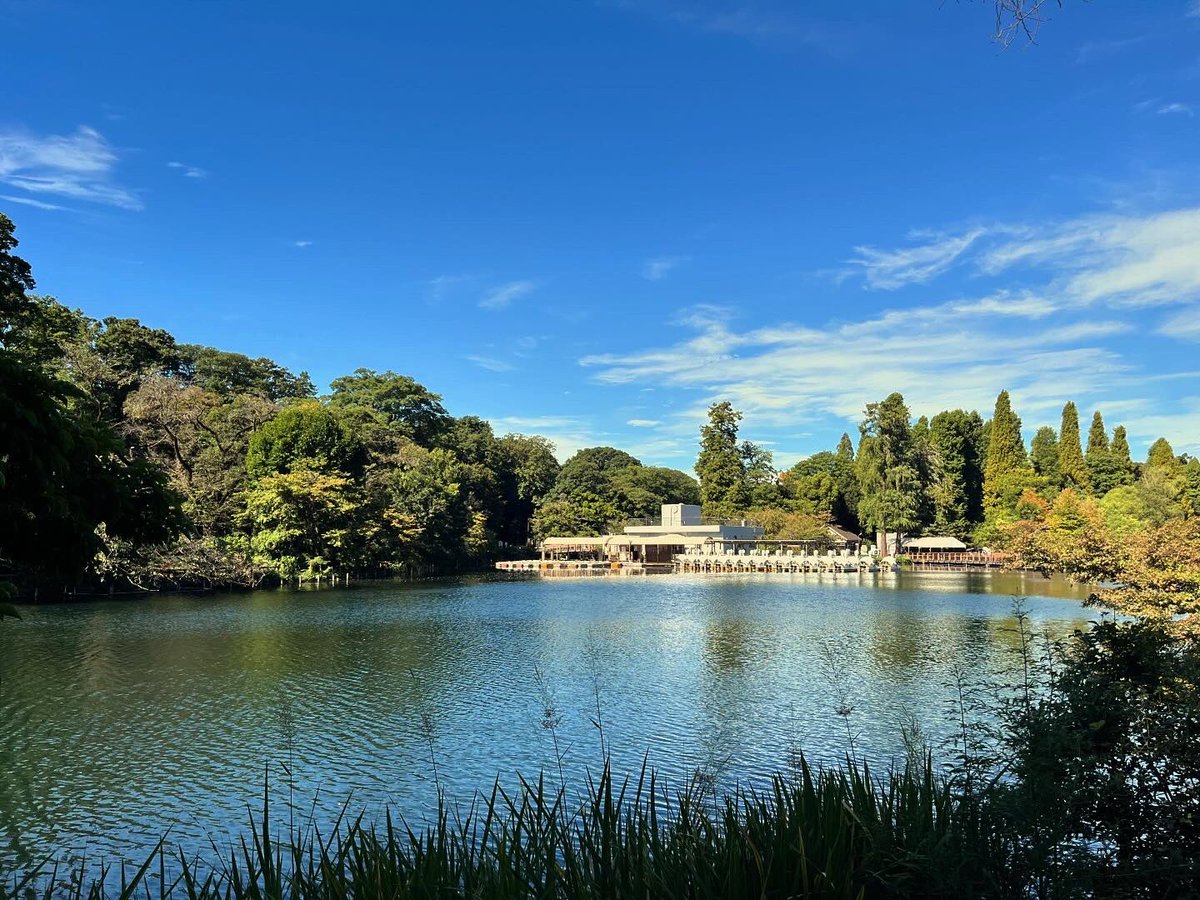 curanosuke's tweet photo. 今朝は井の頭公園でひさしぶりのIRC。
身体重くて行き帰りもペース上がらず。

#suuntoで10km走りました
#InokashiraRunningClub
#JUSTRUNWITH. https://t.co/nJhVEtQm0q