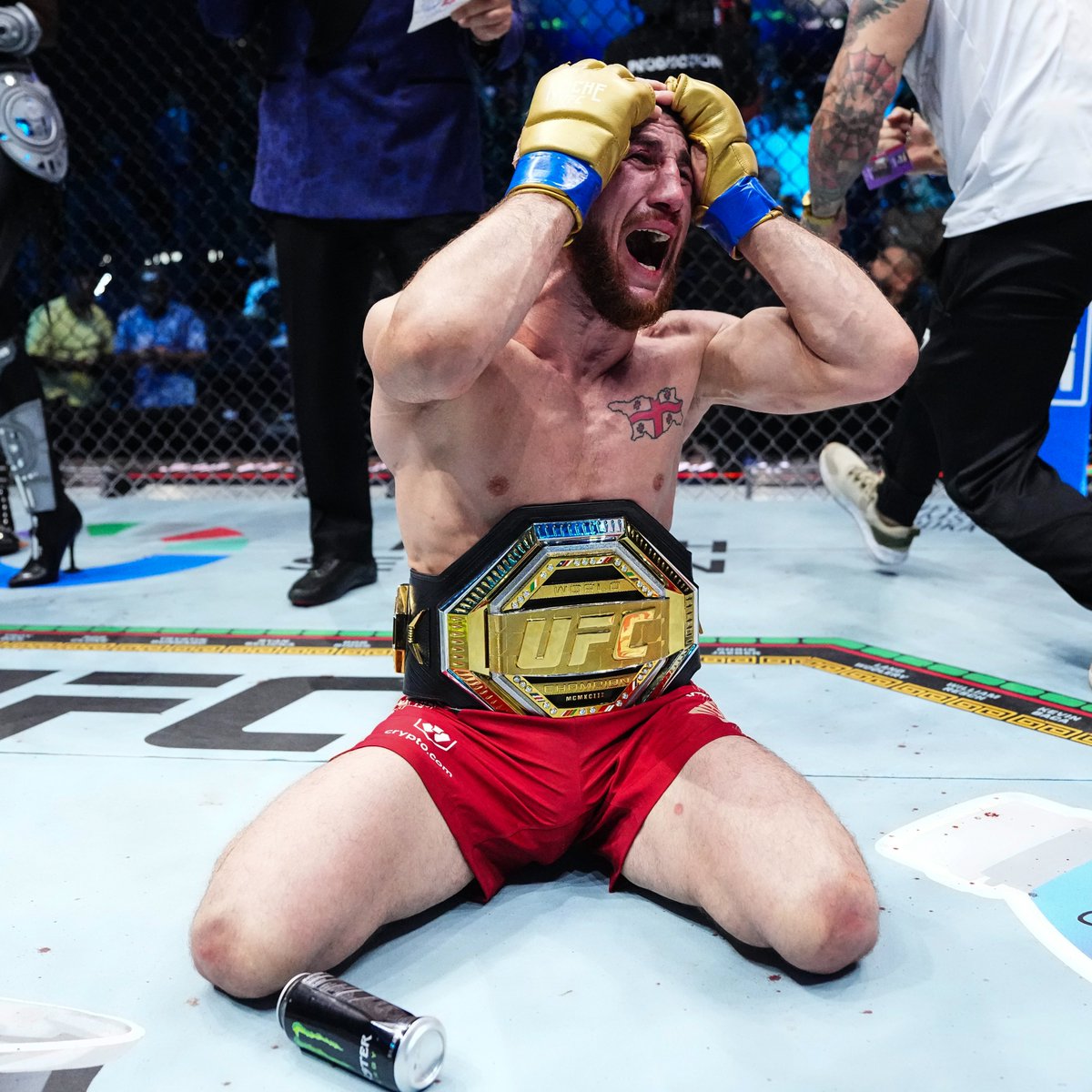 UFC tweet media