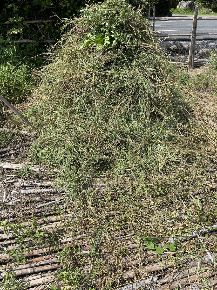 GUGES_99_STUDIO's tweet photo. 秘密基地建造作戦DAY17
AMのみ雑草刈り作業の続き。今日もアチィ。進捗30%。半年前同様で背丈程の雑草の山が出現。PMはヤボ用。
#GFK_RCCC https://t.co/GHUiE6b31R