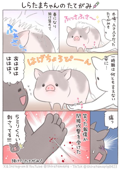 GXf4WoybwAA1scV.jpg:small