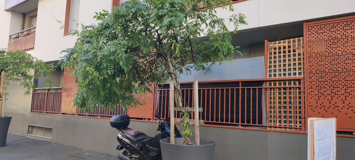 Bonjour <a href="/Alfortville_94/">Ville d'Alfortville</a>, cet arbre menace de tomber dans la rue Diderot. Merci d'avance 👍.