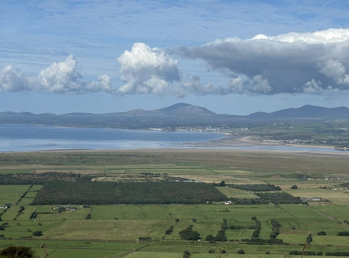 Tom Wilde tweet media