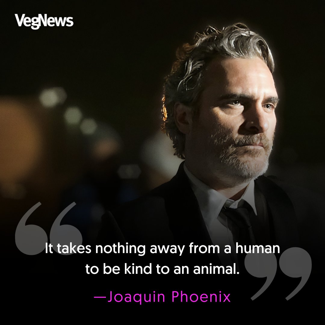 VegNews's tweet photo. 💯 https://t.co/bsb7IMcq8g