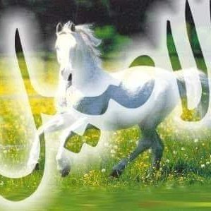 #صورة_ملف_شخصي_جديدة